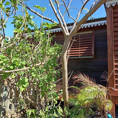 Location Bord Ocean, Holi-Wood Villa Saint-Joseph Exteriör bild