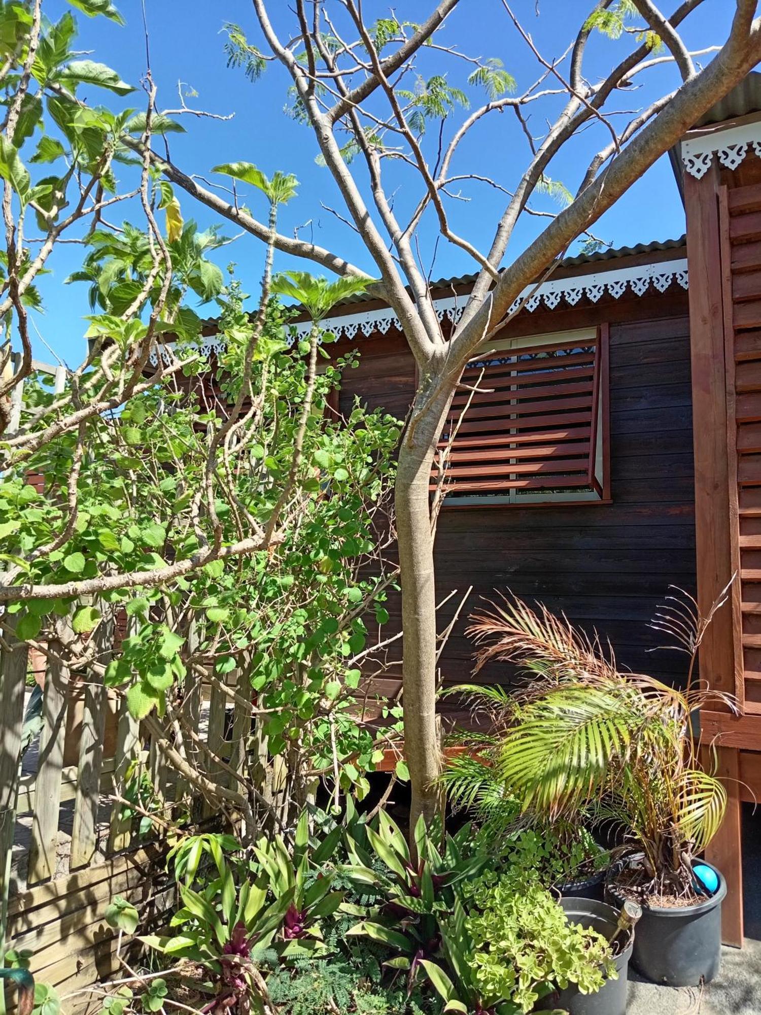 Location Bord Ocean, Holi-Wood Villa Saint-Joseph Exteriör bild